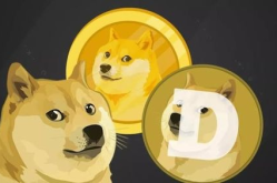 doge是什么币种,起源、特点与市场前景