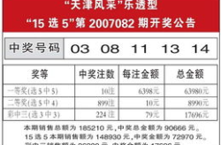 乐透型15选5开奖结果,幸运数字揭晓