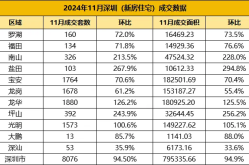 深圳再现千人“抢房”场面！368套房源当天就卖光！看房宝买房备忘录一夜爆火